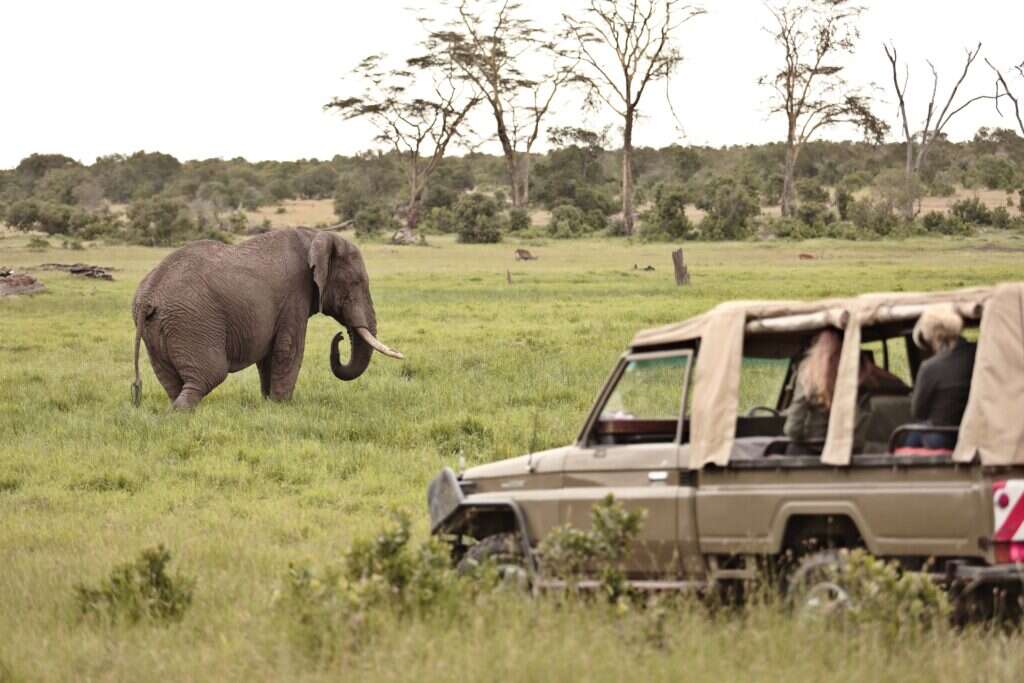 Conservation during Pelorus trip to South Africa 