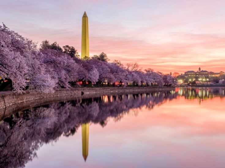 Washington DC in blossom