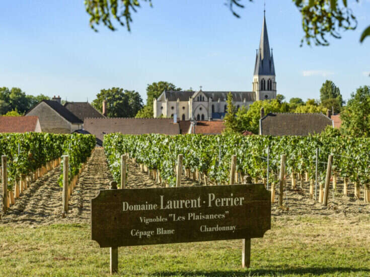 Humble Beginnings to Global Success: The Story of Laurent-Perrier