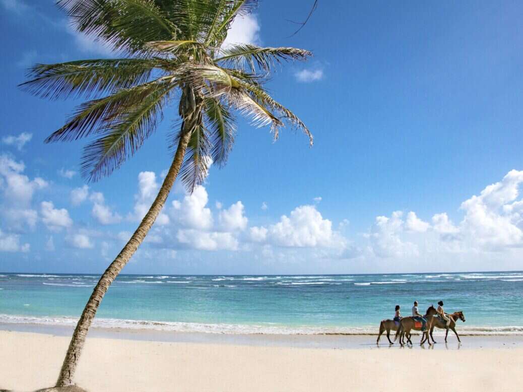 horseback riding barbados