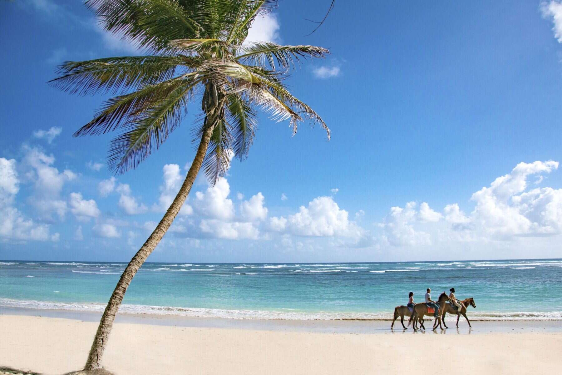 Caribbean Dreaming: A Luxury Guide to Barbados