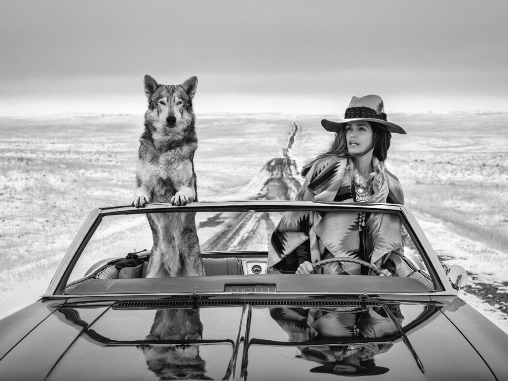 David Yarrow image