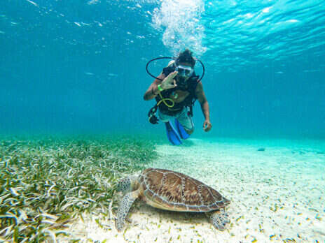 Scuba Diving in Belize: Unlimited Adventure Awaits