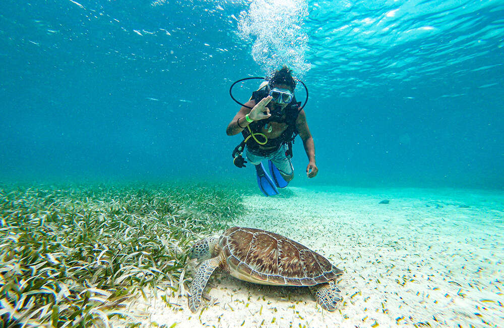 Scuba Diving in Belize: Top Dive Sites & Info