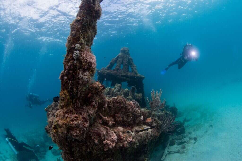 snorkeling barbados