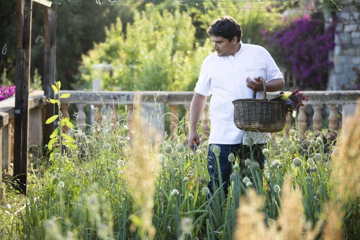 Mauro Colagreco in his vegetable garden