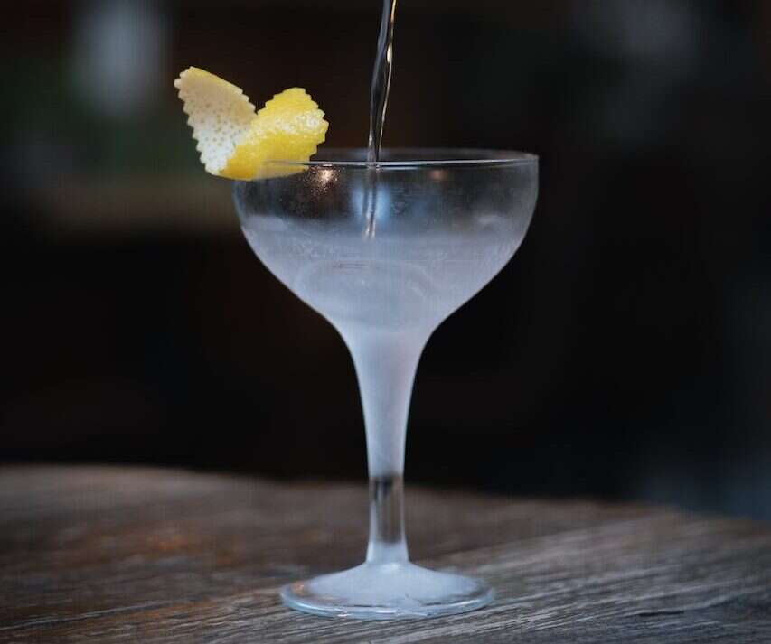 eight lands vesper martini recipe