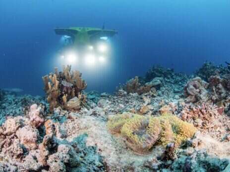 Explore the Remote South Pacific via Submersible
