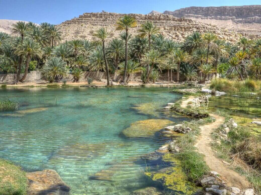 oman oasis