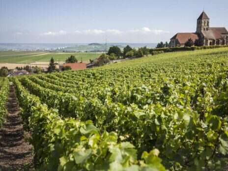 Behind the Scenes at Bollinger: Two Centuries of Fine Champagne