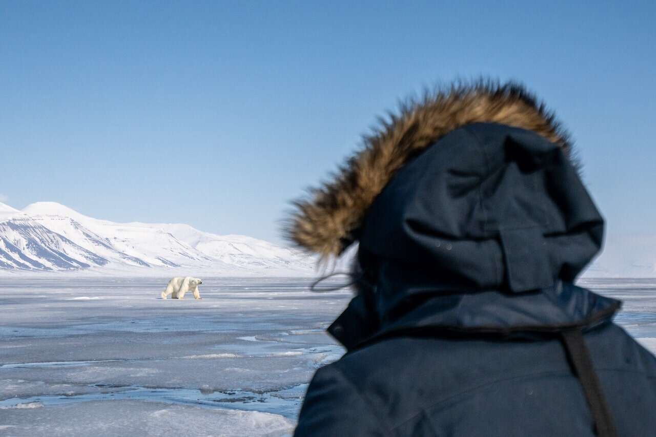 secret atlas guest and polar bear