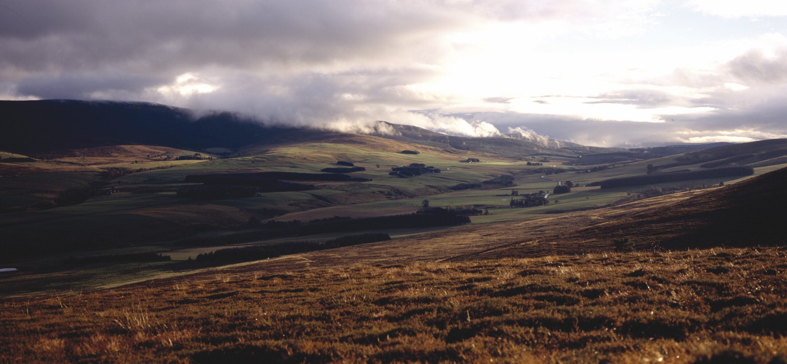 the Macallan whisky estate speyside