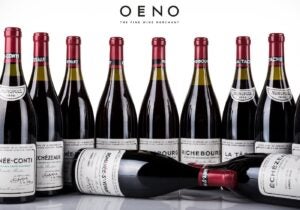OenoFuture Wine invetment