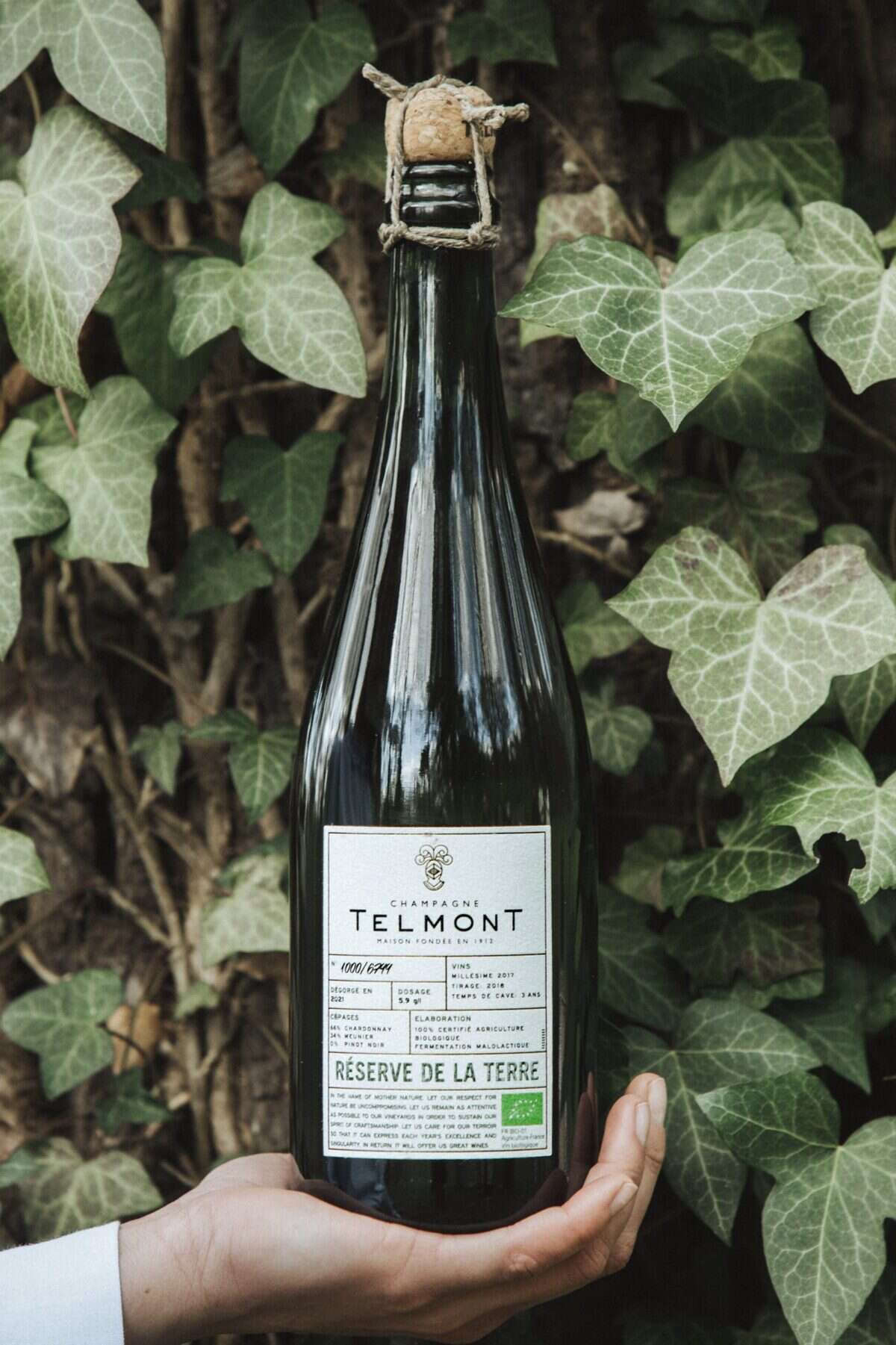 Telmont bottle of champagne