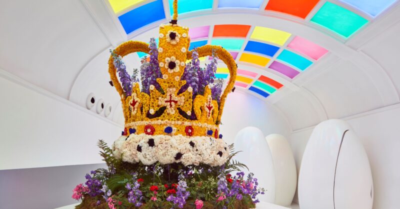 Sketch Celebrates King Charles III's Coronation in Bloom - Vimarsana News