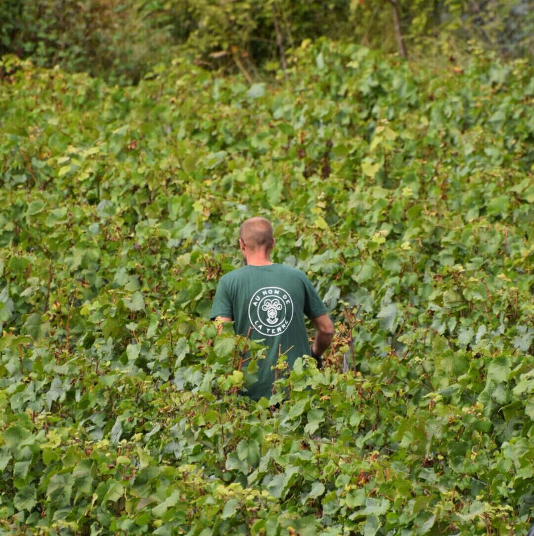 What's in Your Bag? Ludovic du Plessis of Champagne maker Moët