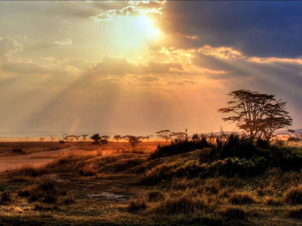 Serengeti Safari National Park,