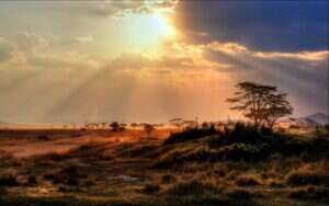 Serengeti Safari National Park,