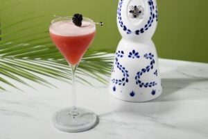 Cocktail Recipes to Try on National Tequila Day