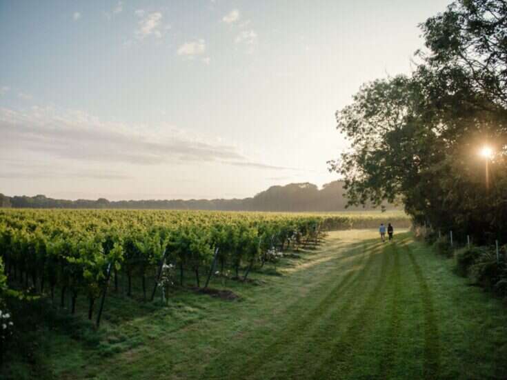 The Most Beautiful English Vineyards to Visit this Summer