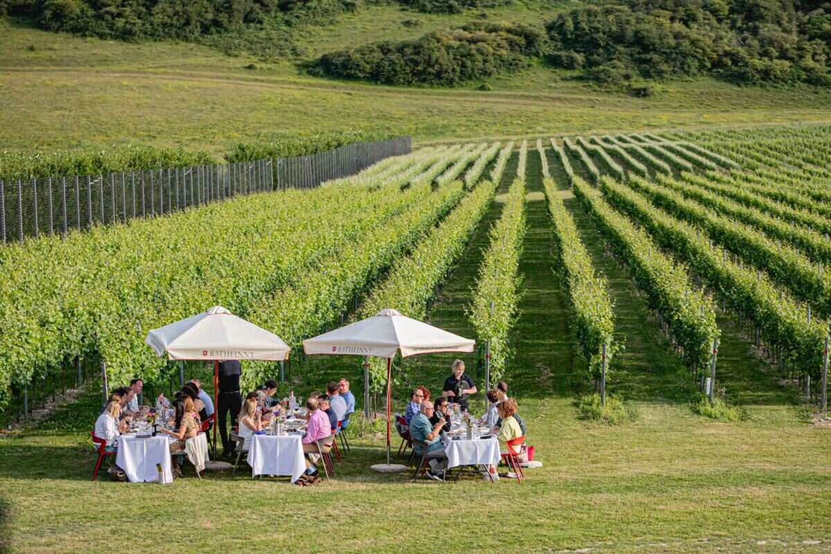 Rathfinny vineyard