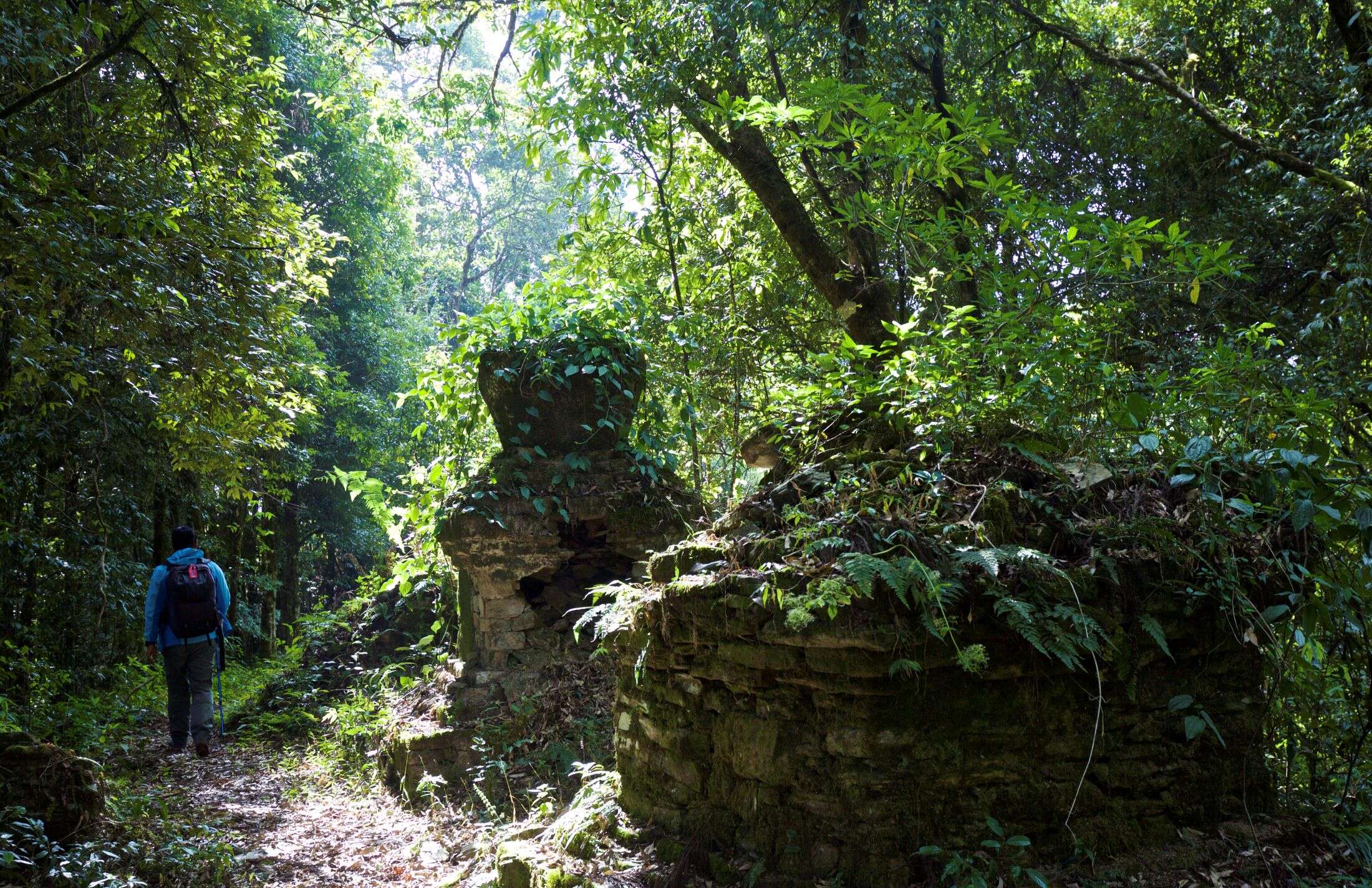 Walking tour Shakti Himalaya