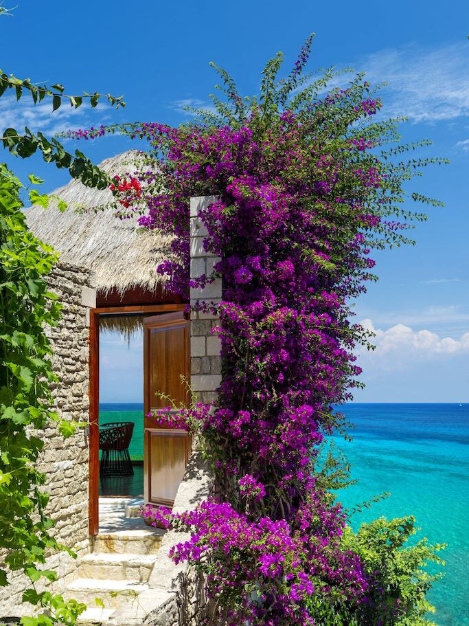 flowers on a door