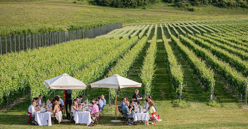 Rathfinny Estate: More Than Just the Wine - Vimarsana News