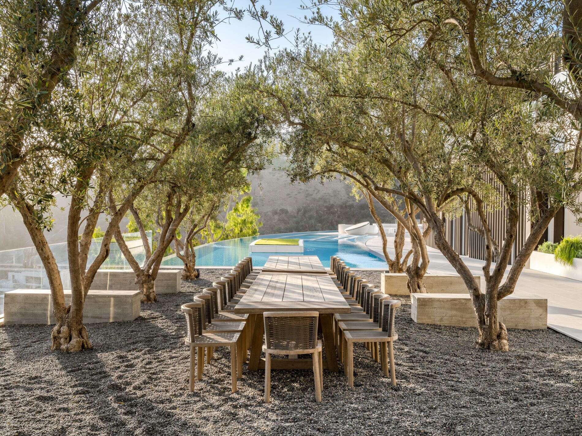 Outdoor dining under olive groves