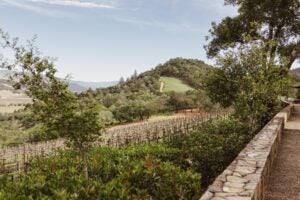 Luxury wine estate Harlan