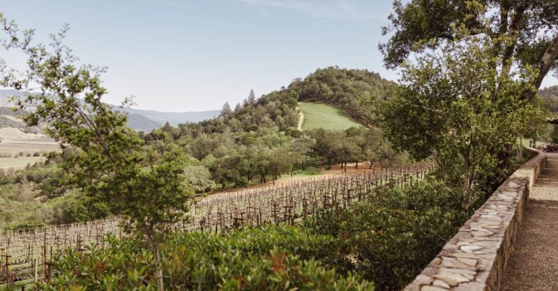 The Stories Behind the World's Utmost Luxury Wines - Vimarsana News