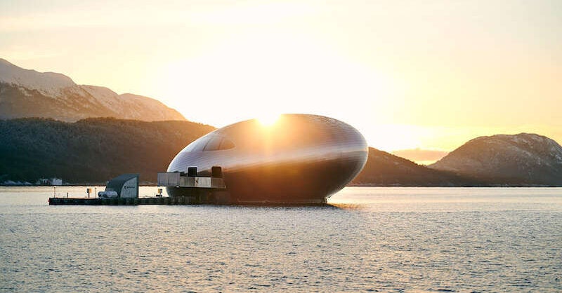 Iris: Inside the Floating Norwegian Restaurant - Vimarsana News