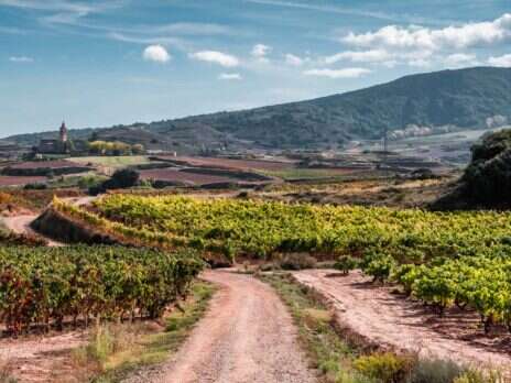 Talking to the Masters: Spain’s Fine Wine Potential  