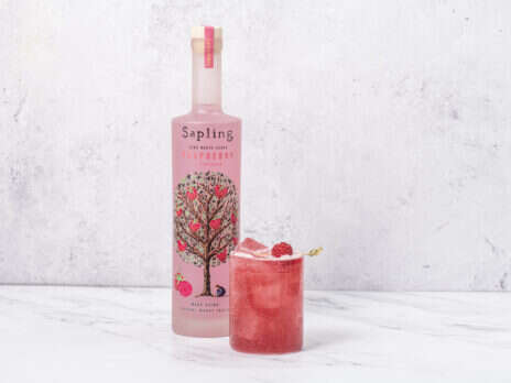 The Raspberry and Hibiscus Spritz by Sapling Spirits