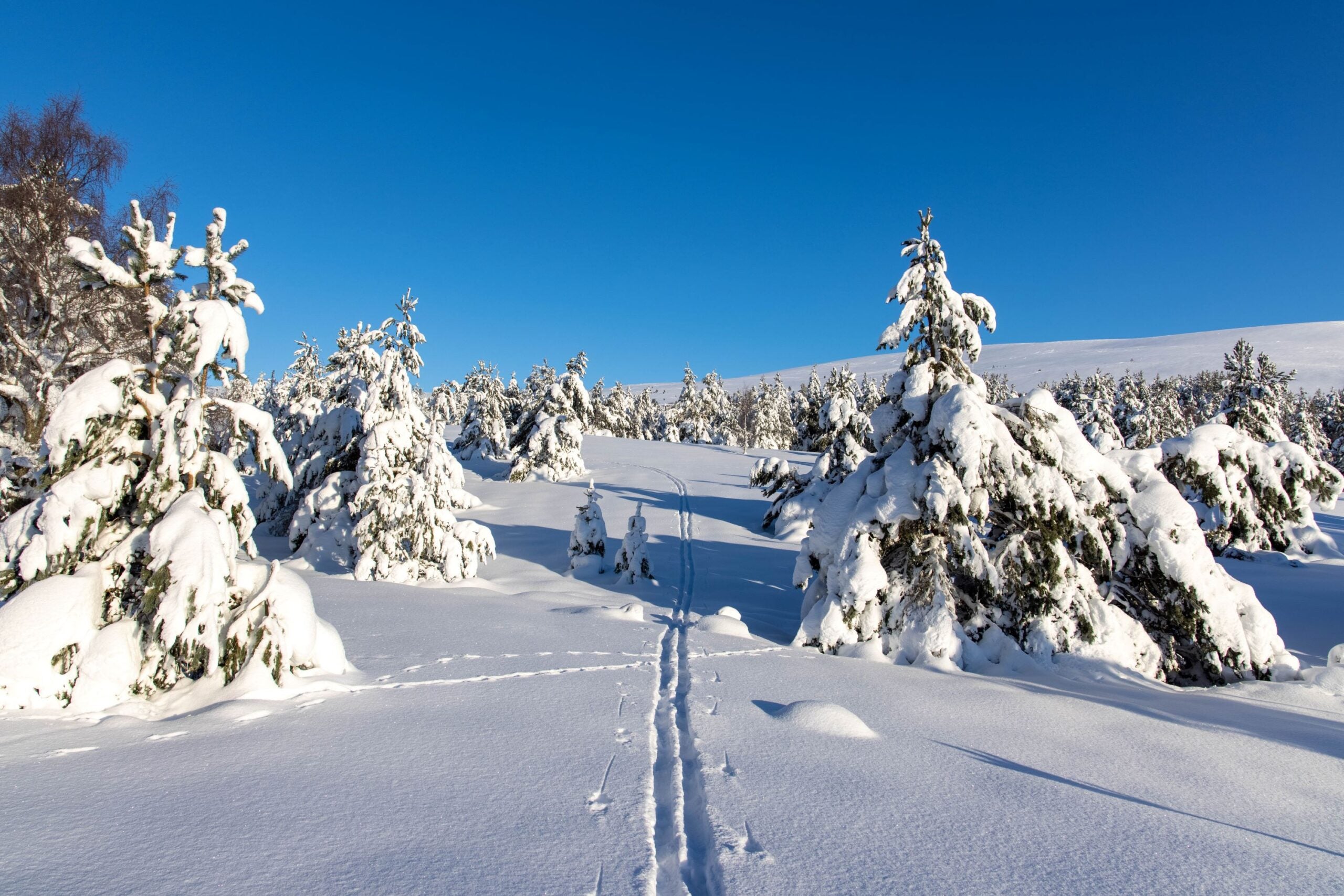 Ski slopes Scotland