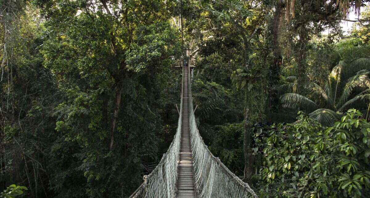 Inkaterra Hacienda Concepcion jungle path