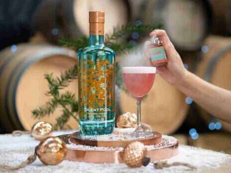 The Mulled Wine Sour by Silent Pool Gin
