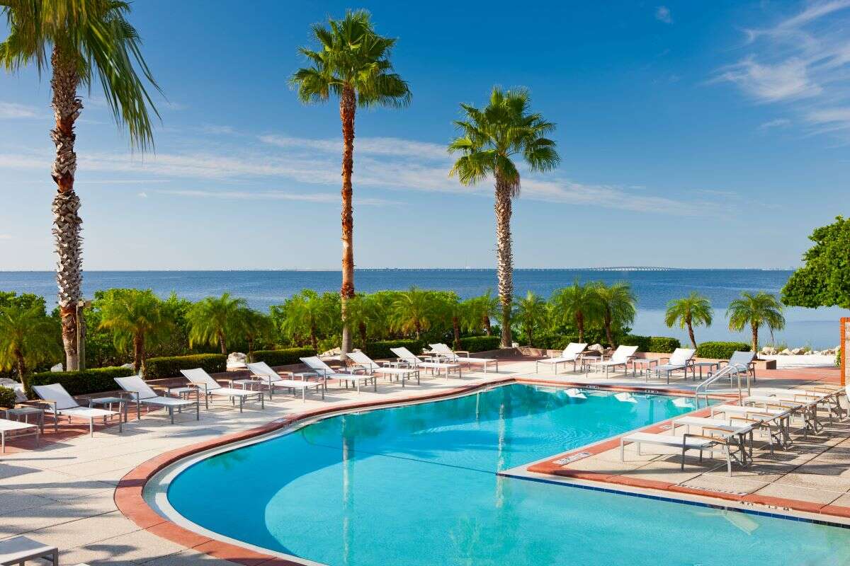 grand hyatt tampa bay pool 