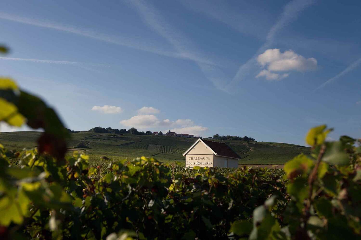 Is Still Champagne French Wine's Next Bright Spark?