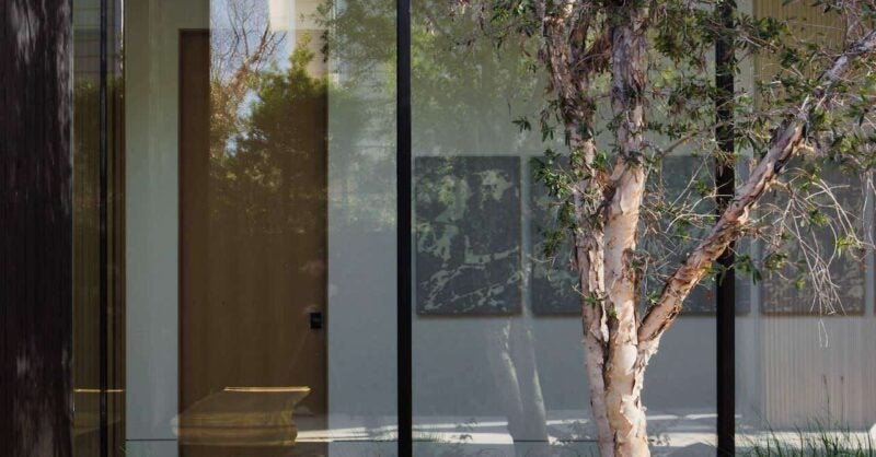 The Dragon: Where Modern Minimalism Meets Mysticism - Vimarsana News