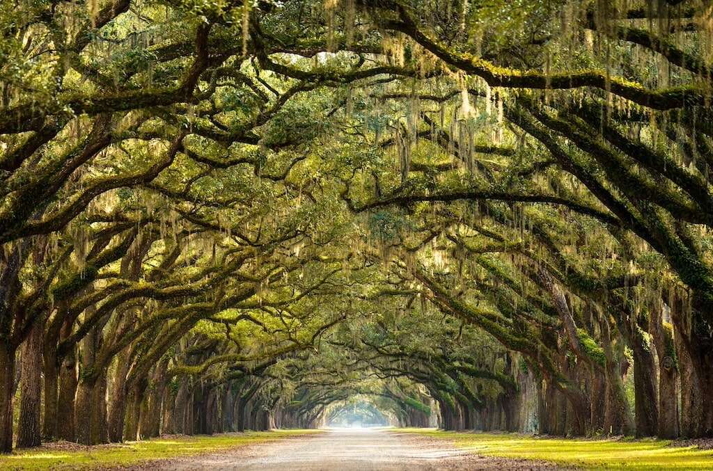 Forsyth Park, Savannah