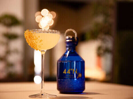 20th Anniversary Cocktail by Gin 44°N Terre Blanche 