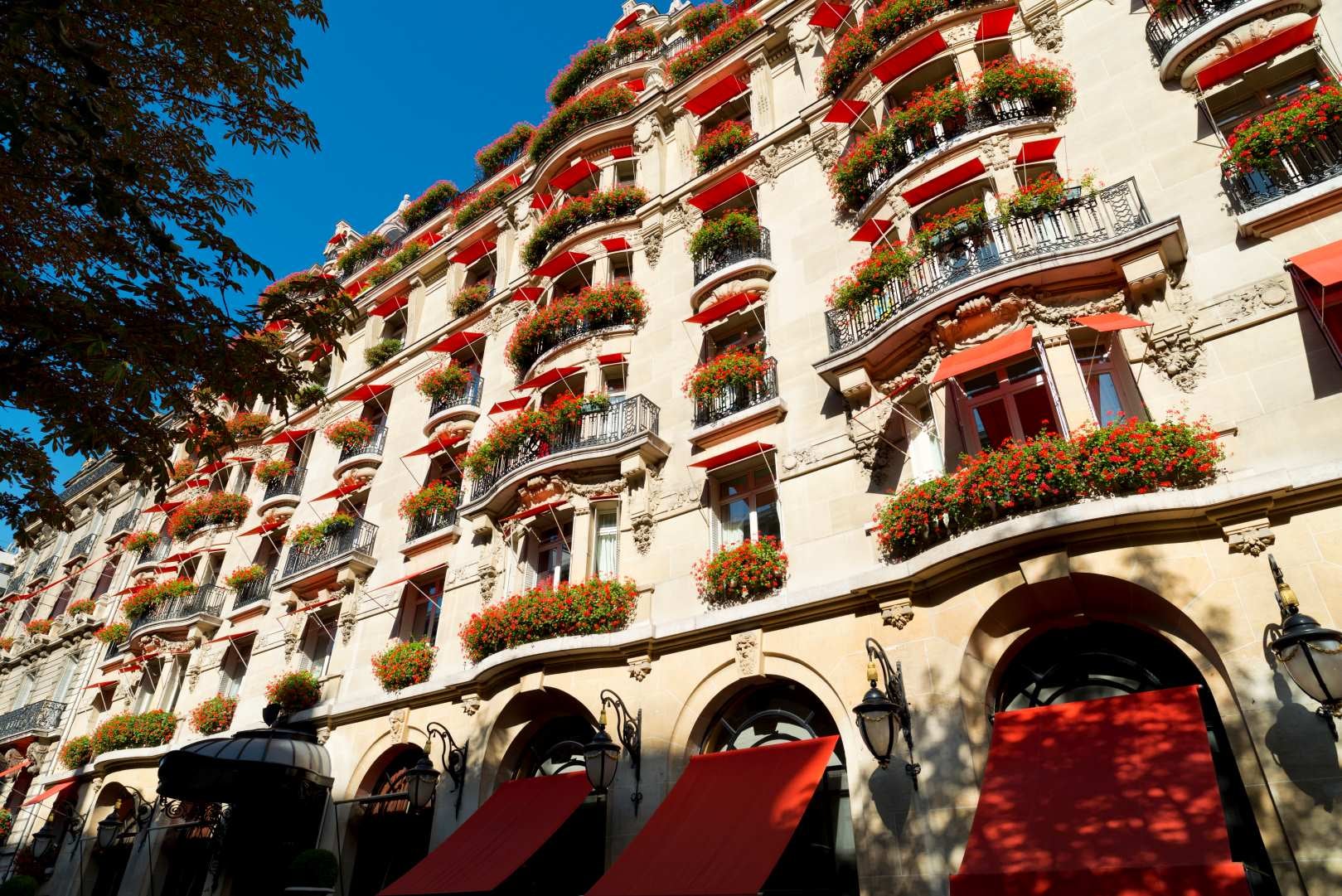 Image showing the red geraniums on the facade of Hôtel Plaza Athénée