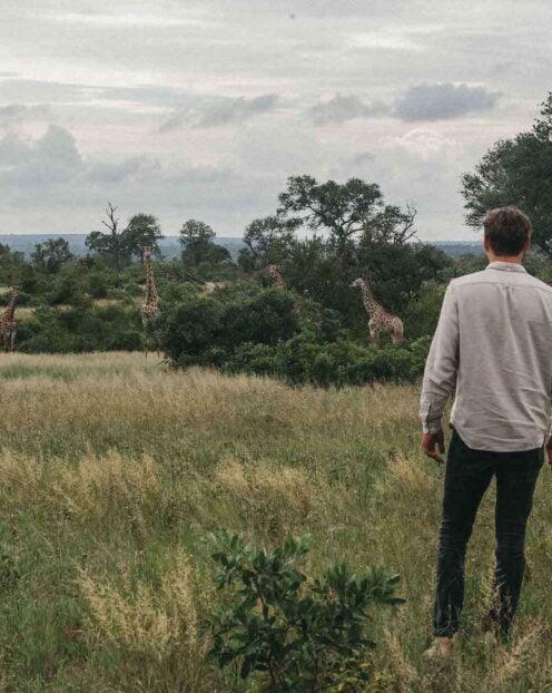Singita Ebony Lodge Safari
