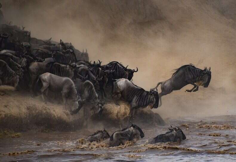 great migration