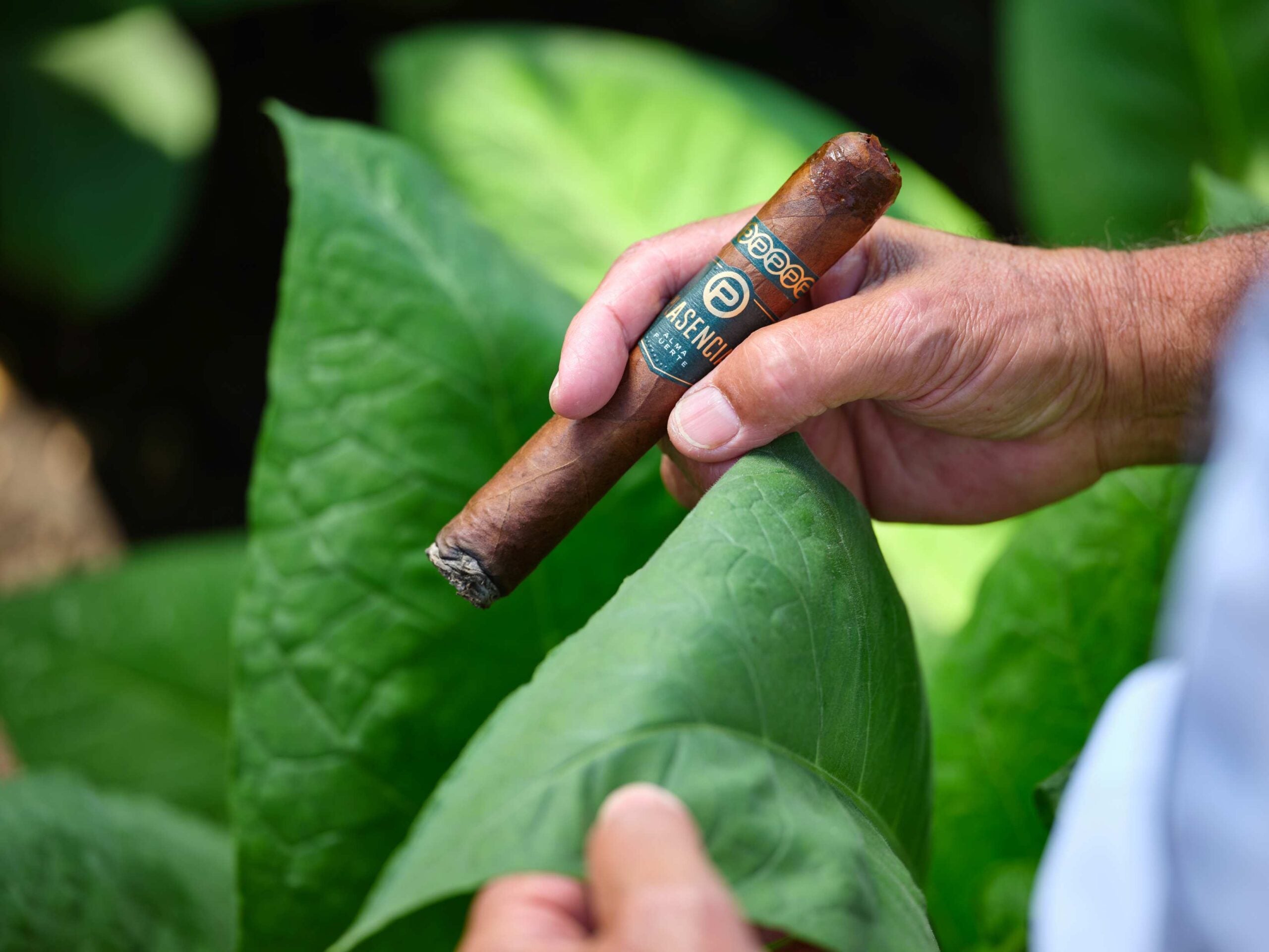 Plasencia Cigars: A Commitment to Heritage and Values