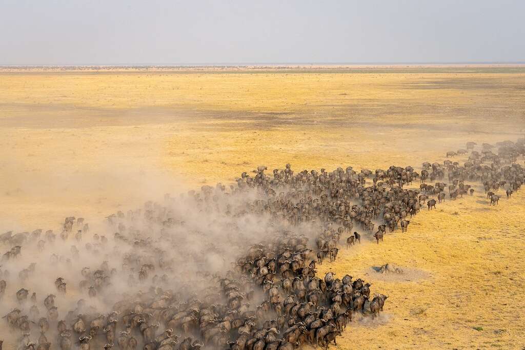 botswana safari tour