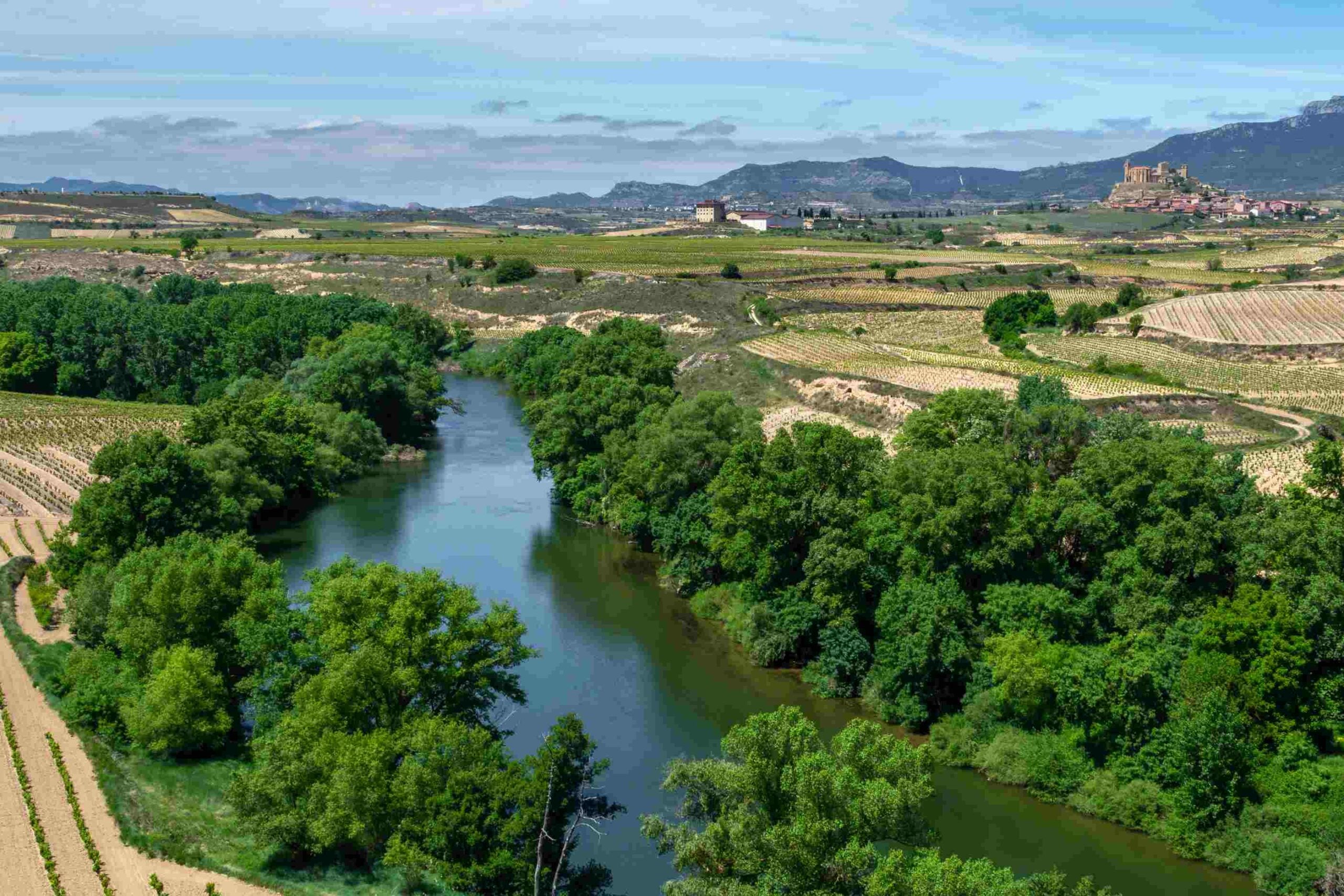 Rioja Wine Region 