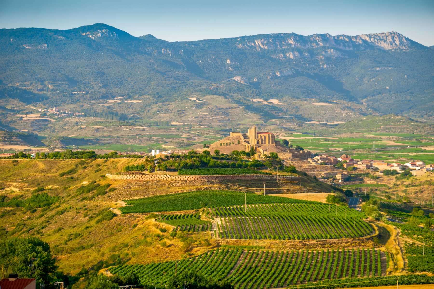 The Best Ways to Experience the Rioja Wine Region