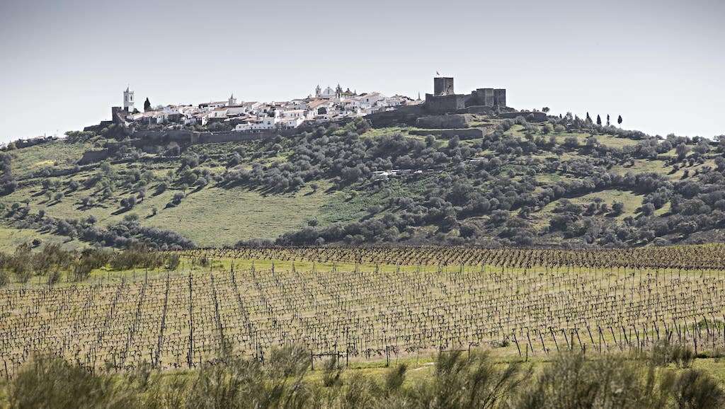 São Lourenço do Barrocal vineyards